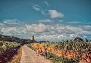 Femmes nicaraguayennes portant des paniers de produits sur leurs têtes sur un chemin rural entre les champs