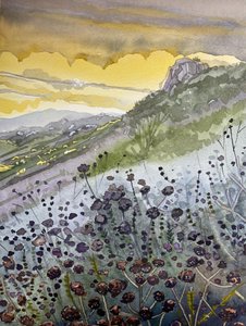Fleurs sauvages au coucher du soleil en montagne - Luisa Millicent