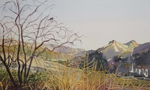 Vallée sereine des montagnes - Luisa Millicent