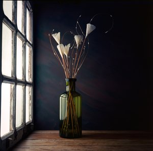 Nature morte à la lumière de la fenêtre