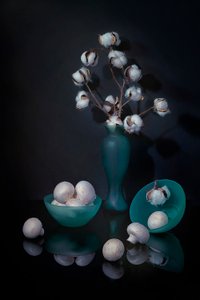 Nature morte au coton et aux champignons - Lydia Jacobs