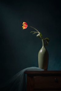  - Lydia Jacobs