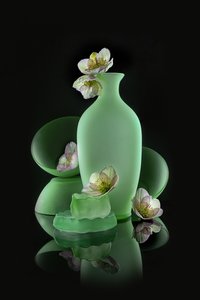 Motif floral vert élégant