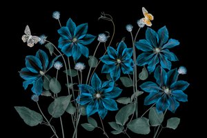  - Lydia Jacobs