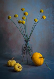  - Lydia Jacobs