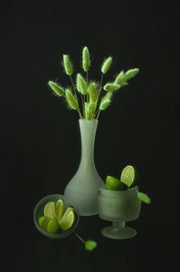 Plantes vertes et citrons verts - Lydia Jacobs