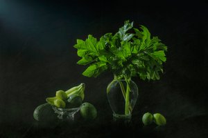 Nature morte botanique luxuriante - Lydia Jacobs