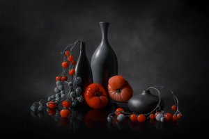  - Lydia Jacobs