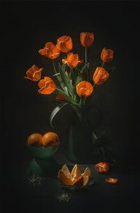  - Lydia Jacobs