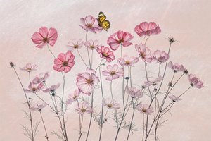  - Lydia Jacobs