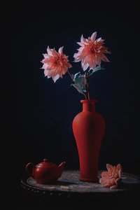 Dahlia roses dans un vase rouge - Lydia Jacobs