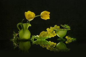 Tulipes jaunes et raisins verts - Lydia Jacobs