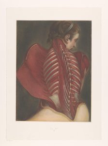 Représentation anatomique du dos - M.D. Duplain