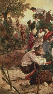 La récolte des raisins - M.F. Moles