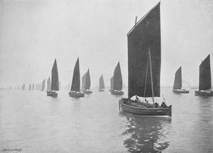 Bateaux de harengs au large du Tyne, vers 1896 - M. Aunty