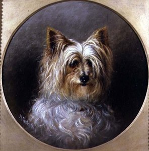 Étude de tête d