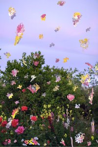 Fleurs abstraites, 2019 - Madeleine Gross