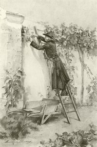 Abbé Constantin (gravure)