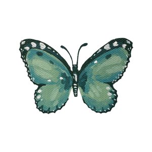 Élégant papillon bleu sarcelle - Madison Phipps