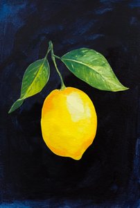 Une branche de citronnier aux couleurs vives - Madison Phipps