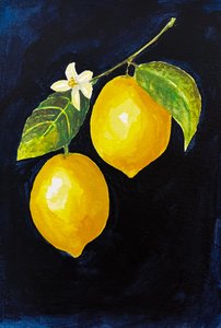 Des citrons éclatants - Madison Phipps