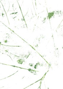 Lignes vertes abstraites