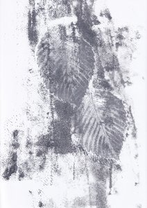 Textures abstraites de feuilles - Maira Ribena