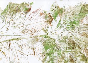 Feuille abstraite - Maira Ribena