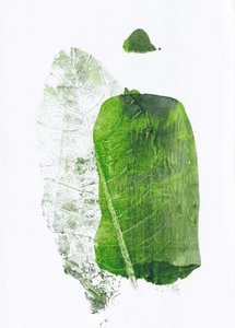 Formes végétales vertes - Maira Ribena