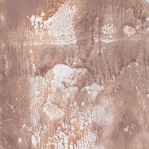 Lavage abstrait aux tons terreux - Maira Ribena