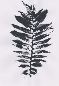 Feuille d