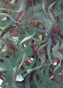 Abstrait vert fluide
