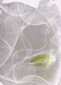 Lignes fluides Vert - Maira Ribena