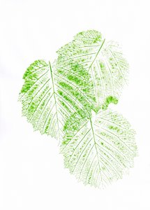 Imprimés de feuilles vertes fraîches