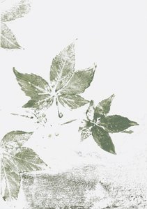 Impressions de feuilles vertes - Maira Ribena