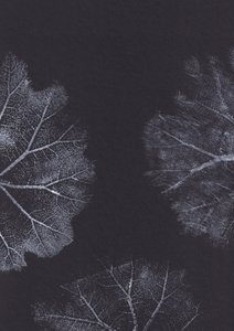 Textures de feuilles monochromes