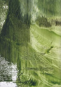 Flux vert biologique - Maira Ribena