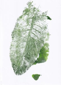 Imprimé feuilles organique - Maira Ribena