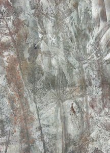 Formes naturelles subtiles