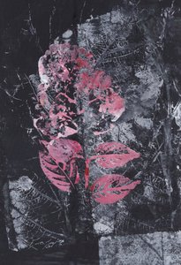 Fleur rose texturée