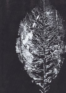 Impression de feuille blanche - Maira Ribena