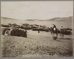 Campement avec tentes et chameaux dans le désert (probablement en Égypte) - Maison Bonfils