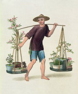 Un porteur avec des arbres fruitiers et des fleurs, planche 16 de 