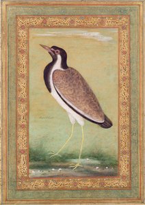 Vanneau indien, vers 1800 - Mansur