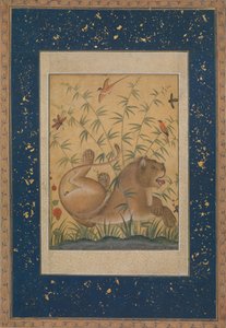 Lion au repos, vers 1585 - Mansur