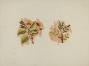 Fragment de jupon en soie, c. 1939