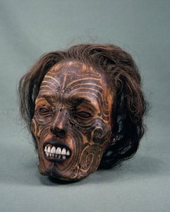 Tête de chef tribal, tatouée et momifiée, civilisation maorie - Maori Maori