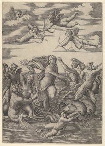 Galatée debout dans un char tiré par deux dauphins, entourée de tritons et de néréides - Marcantonio Raimondi