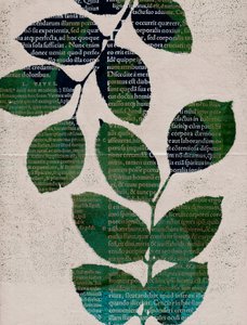Feuilles, 2024 (monotype)