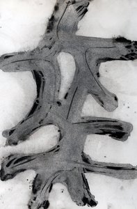 Ramas, 2014 (encre sur papier)